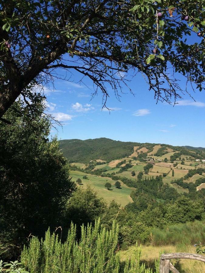 Grannoce Bed And Breakfast Gubbio Exterior foto